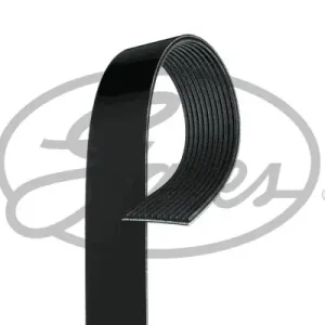 Niska cena Pasek klinowy wielorowkowy GATES 11PK2013HD