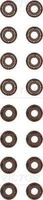 Zestaw uszczelniaczy, trzonek zaworu VICTOR REINZ 12-53593-01 Premium