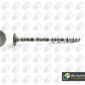 Wałek rozrządu BGA CS0905 Oferta czasowa