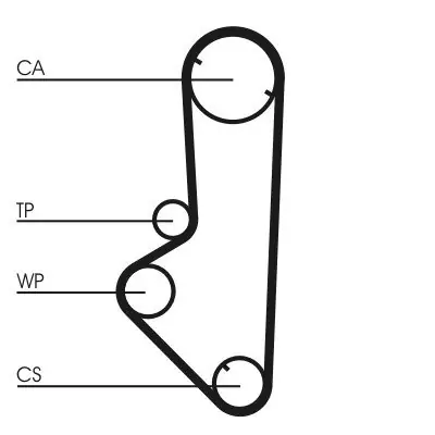 Bestseller Pasek rozrządu CONTINENTAL CTAM CON CT707